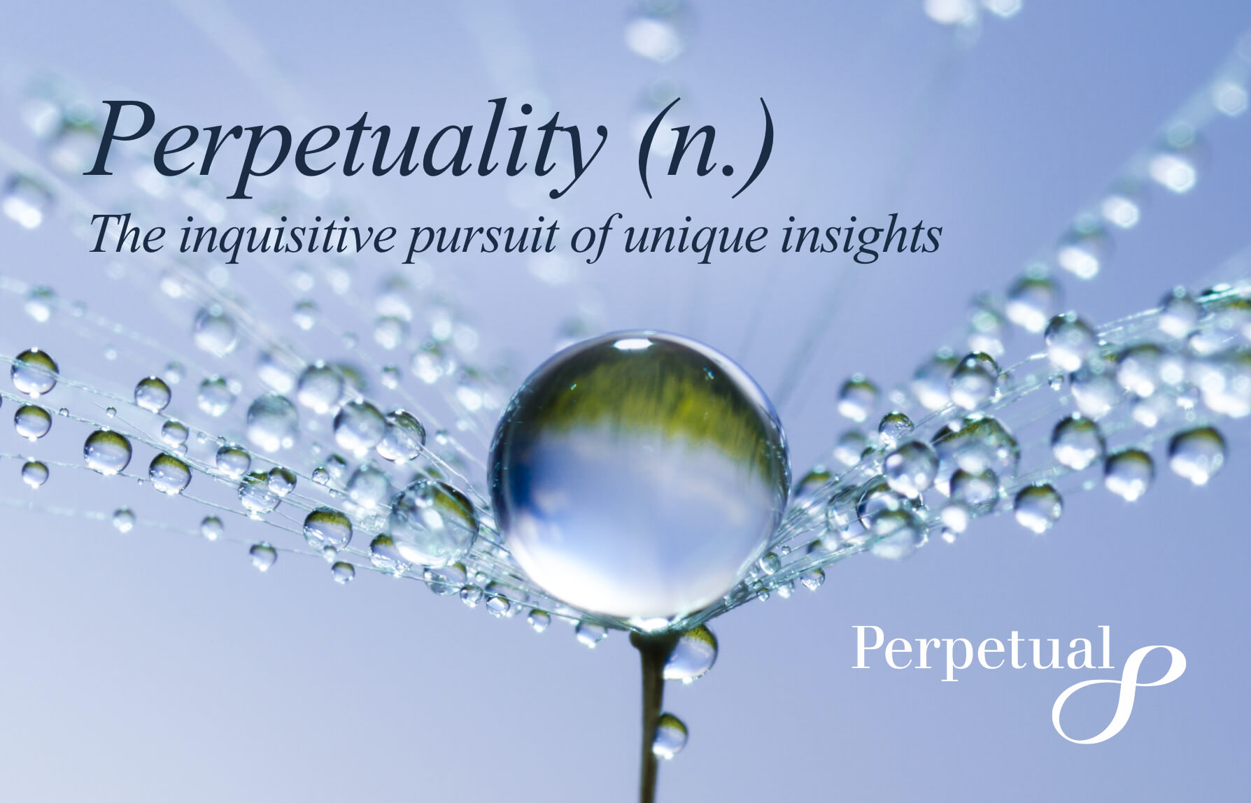 Perpetuality